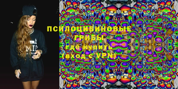 гидропоника Горняк