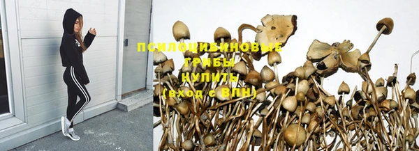 гидропоника Горняк